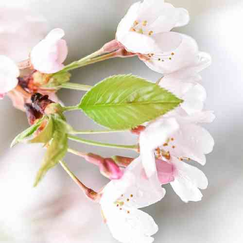  خلاف رودخونه وایستادیم بدون سد خودمون رو آتیش تا این قلب